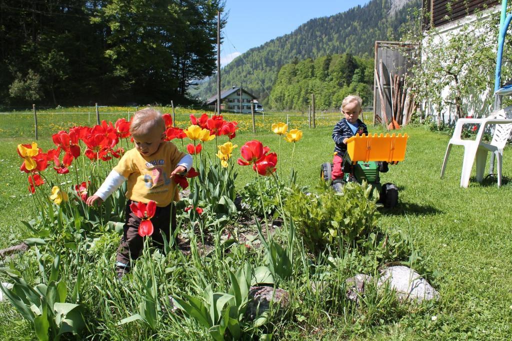 Ferienwohnungen Sutter Au (Vorarlberg) エクステリア 写真