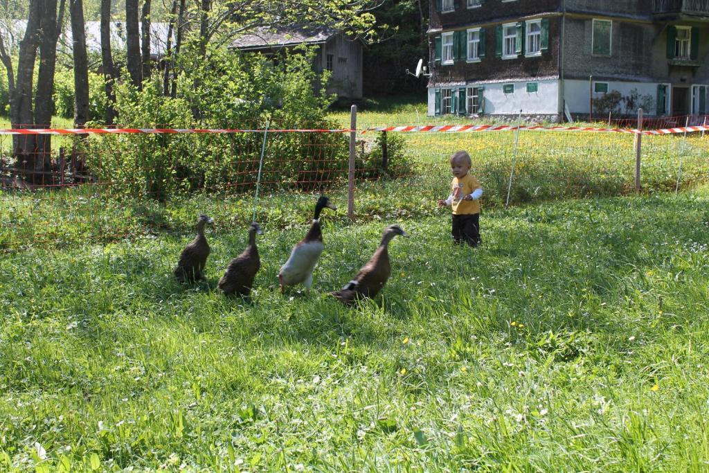 Ferienwohnungen Sutter Au (Vorarlberg) エクステリア 写真
