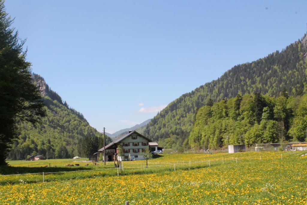Ferienwohnungen Sutter Au (Vorarlberg) エクステリア 写真